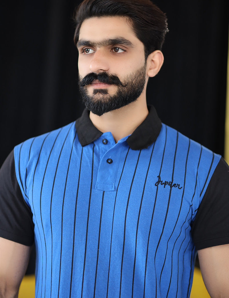 Men Collared Polo Shirt Blue