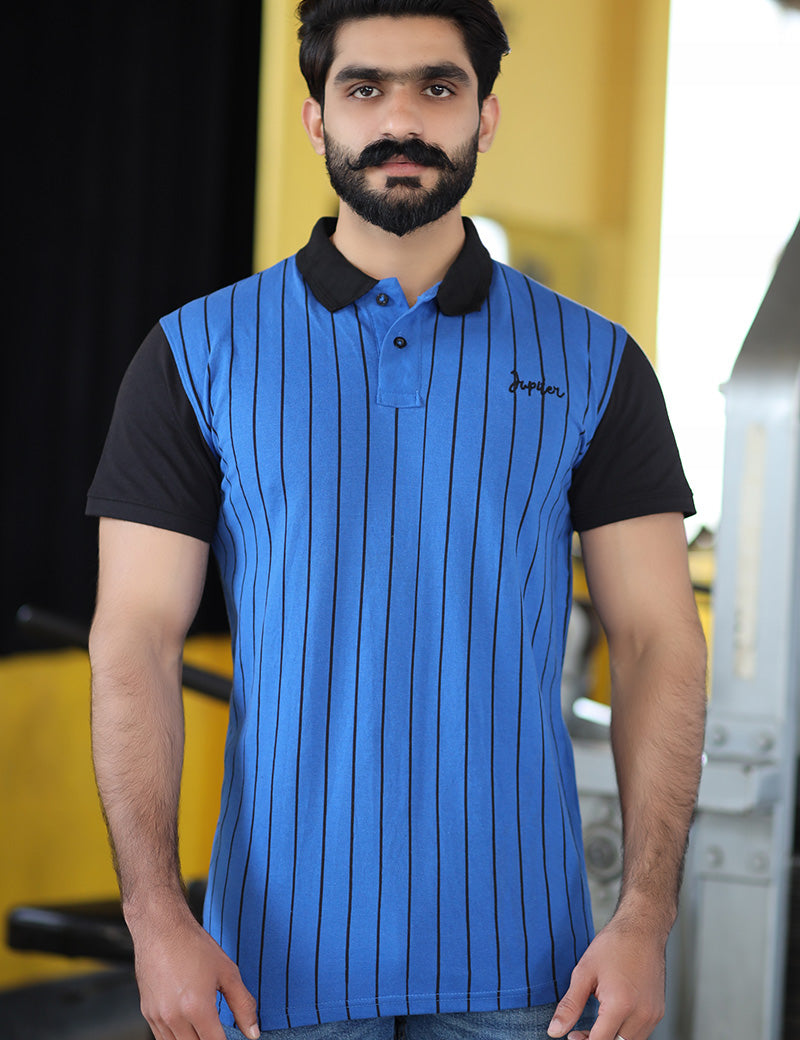 Men Collared Polo Shirt Blue